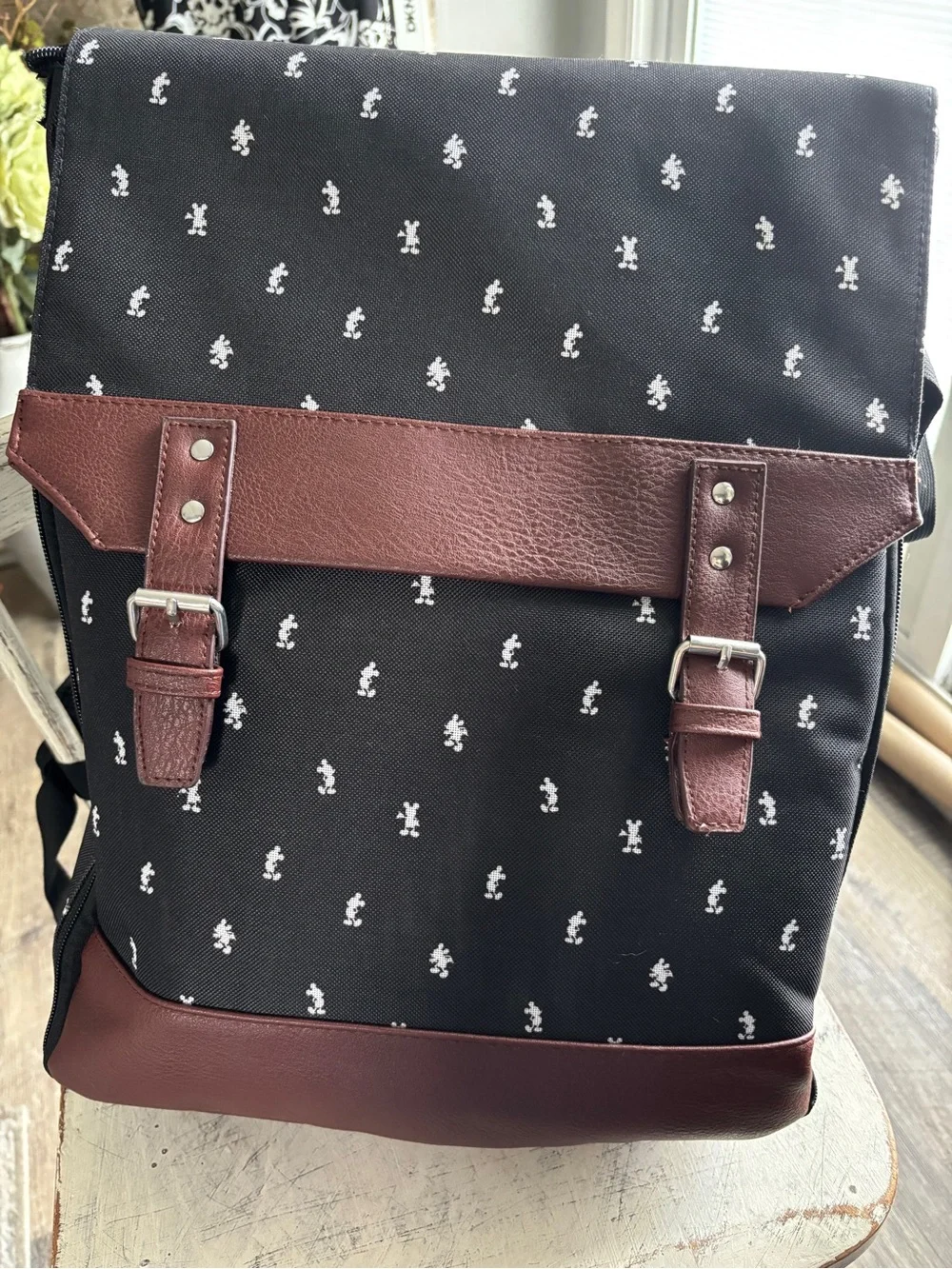 Disney Park Tripper Picnic Backpack with service for 4